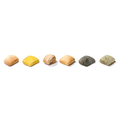 Sechs kleine quadratische Brötchen in einer Reihe, von Beige und Gelb bis Kohleschwarz und Grün, auf Weiß