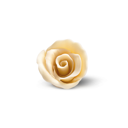 Cremefarbene Zucker- oder Fondant-Rosendekoration auf weißem Hintergrund.